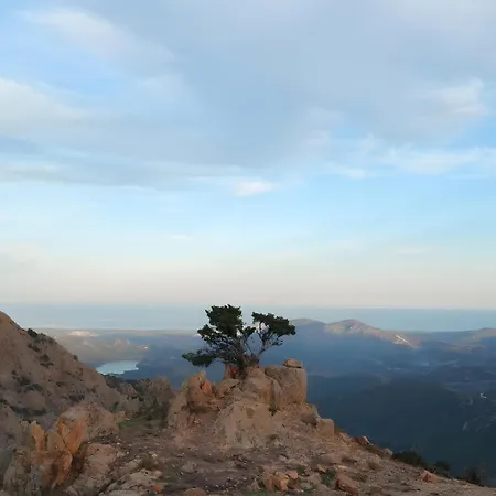 Sa Omu 'eccia Dom wakacyjny Villagrande Strisaili