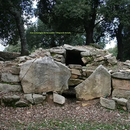 Dom wakacyjny Sa Omu 'eccia